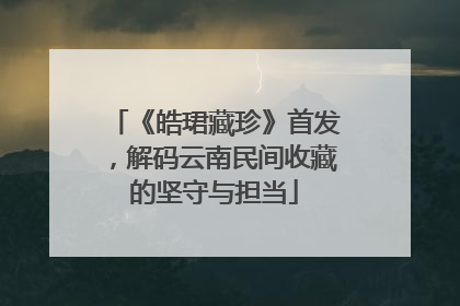 《皓珺藏珍》首发，解码云南民间收藏的坚守与担当