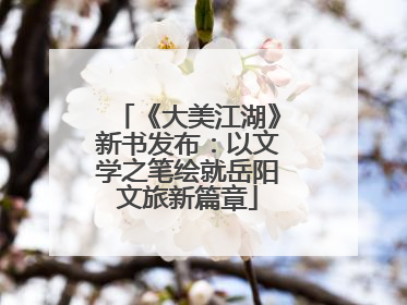 《大美江湖》新书发布：以文学之笔绘就岳阳文旅新篇章
