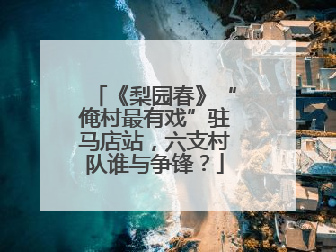 《梨园春》“俺村最有戏”驻马店站，六支村队谁与争锋？