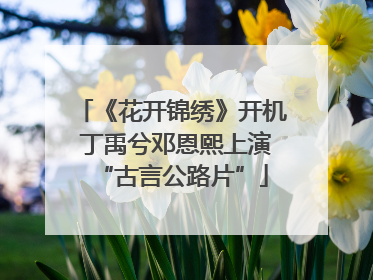 《花开锦绣》开机 丁禹兮邓恩熙上演“古言公路片”