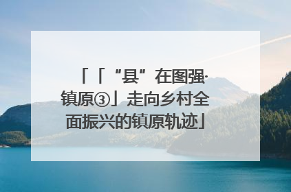 「“县”在图强·镇原③」走向乡村全面振兴的镇原轨迹