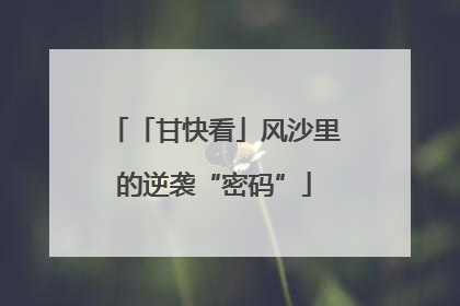 「甘快看」风沙里的逆袭“密码”