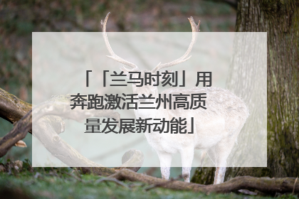 「兰马时刻」用奔跑激活兰州高质量发展新动能