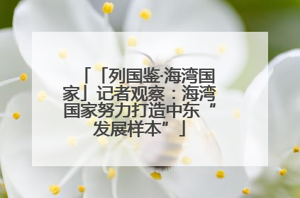 「列国鉴·海湾国家」记者观察：海湾国家努力打造中东“发展样本”