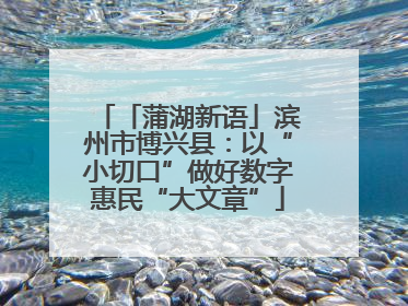 「蒲湖新语」滨州市博兴县：以“小切口”做好数字惠民“大文章”