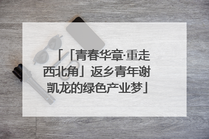 「青春华章·重走西北角」返乡青年谢凯龙的绿色产业梦