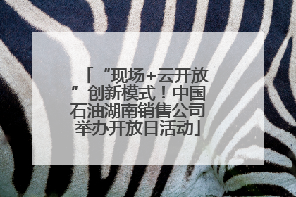 “现场+云开放”创新模式！中国石油湖南销售公司举办开放日活动