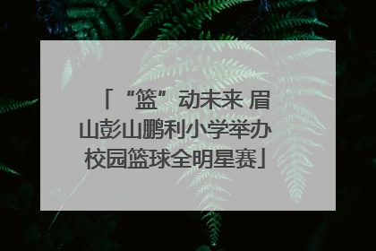 “篮”动未来 眉山彭山鹏利小学举办校园篮球全明星赛