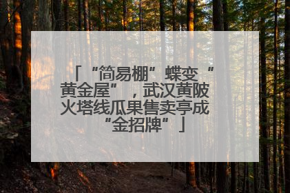 “简易棚”蝶变“黄金屋”，武汉黄陂火塔线瓜果售卖亭成“金招牌”