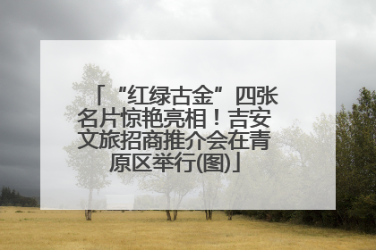 “红绿古金”四张名片惊艳亮相！吉安文旅招商推介会在青原区举行(图)
