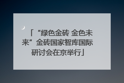 “绿色金砖 金色未来”金砖国家智库国际研讨会在京举行