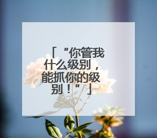 “你管我什么级别，能抓你的级别！”