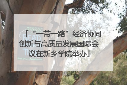 “一带一路”经济协同创新与高质量发展国际会议在新乡学院举办