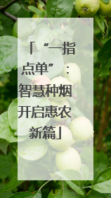 “一指点单”：智慧种烟开启惠农新篇