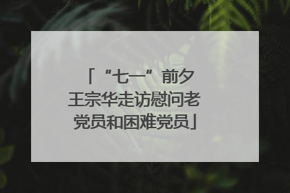 “七一”前夕 王宗华走访慰问老党员和困难党员