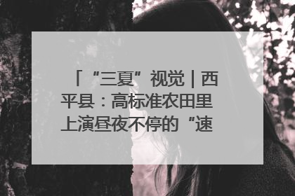 “三夏”视觉｜西平县：高标准农田里上演昼夜不停的“速度与激情”