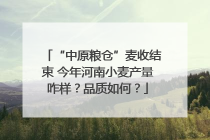 “中原粮仓”麦收结束 今年河南小麦产量咋样？品质如何？