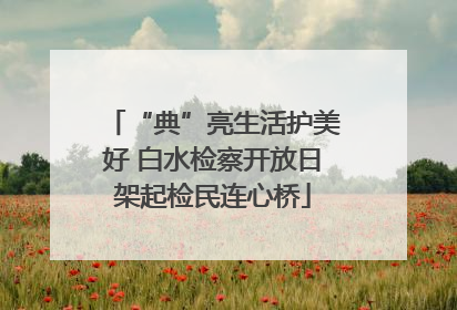 “典”亮生活护美好 白水检察开放日架起检民连心桥