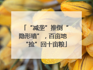 “减垄”推倒“隐形墙”，百亩地“捡”回十亩粮