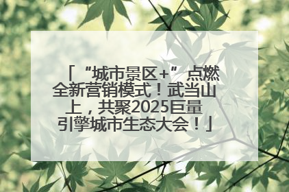 “城市景区+”点燃全新营销模式！武当山上，共聚2025巨量引擎城市生态大会！