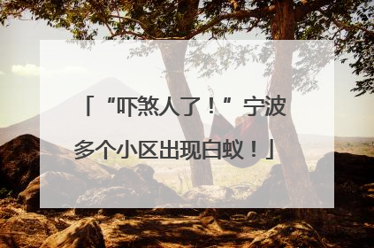 “吓煞人了！”宁波多个小区出现白蚁！
