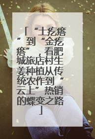 “土疙瘩”到“金疙瘩”，看肥城旅店村生姜种植从传统农作到“云上”热销的蝶变之路