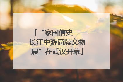 “家国信史——长江中游简牍文物展”在武汉开幕