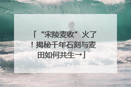 “宋陵麦收”火了！揭秘千年石刻与麦田如何共生→