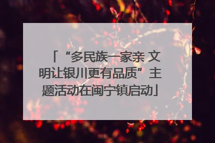 “多民族一家亲 文明让银川更有品质”主题活动在闽宁镇启动