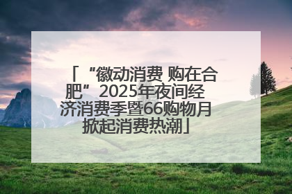 “徽动消费 购在合肥”2025年夜间经济消费季暨66购物月掀起消费热潮