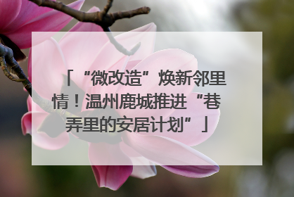 “微改造”焕新邻里情！温州鹿城推进“巷弄里的安居计划”