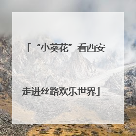 “小葵花”看西安走进丝路欢乐世界