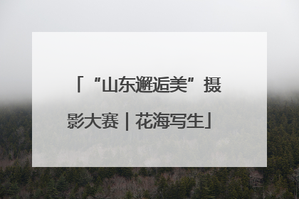 “山东邂逅美”摄影大赛｜花海写生