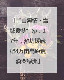 “山海情・雪域援梦”⑨：17年，潍坊援藏把4万亩高原荒漠变绿洲