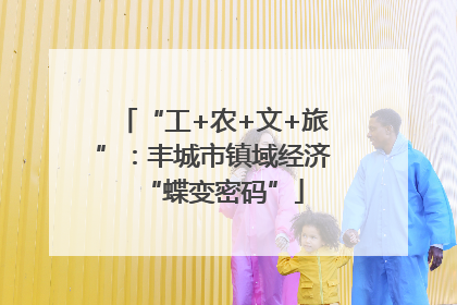 “工+农+文+旅”：丰城市镇域经济“蝶变密码”