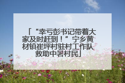 “幸亏彭书记带着大家及时赶到！”宁乡黄材镇崔坪村驻村工作队救助中暑村民