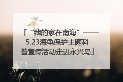“我的家在南海”——5.23海龟保护主题科普宣传活动走进永兴岛
