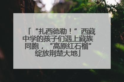 “扎西德勒！”西藏中学的孩子们遇上藏族同胞，“高原红石榴”绽放荆楚大地