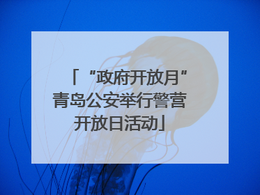 “政府开放月”青岛公安举行警营开放日活动