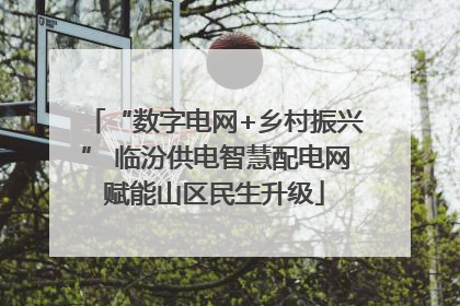“数字电网+乡村振兴” 临汾供电智慧配电网赋能山区民生升级