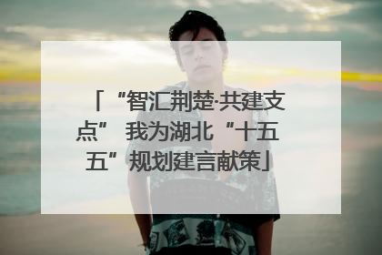 “智汇荆楚·共建支点” 我为湖北“十五五”规划建言献策
