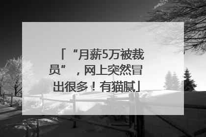 “月薪5万被裁员”，网上突然冒出很多！有猫腻