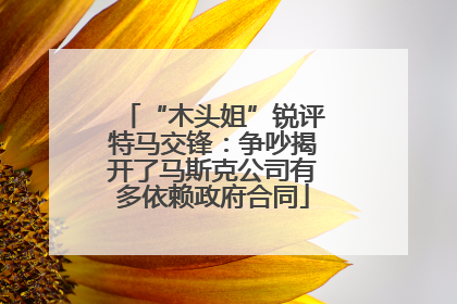 “木头姐”锐评特马交锋：争吵揭开了马斯克公司有多依赖政府合同