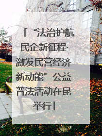 “法治护航民企新征程·激发民营经济新动能”公益普法活动在昆举行