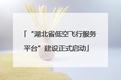 “湖北省低空飞行服务平台”建设正式启动