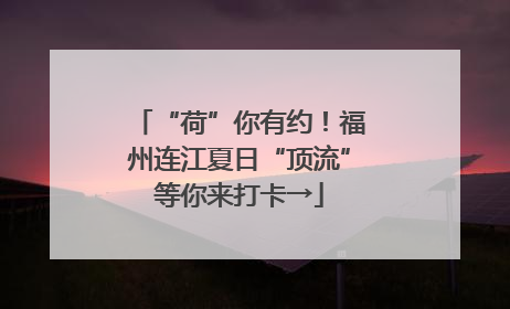 “荷”你有约！福州连江夏日“顶流”等你来打卡→