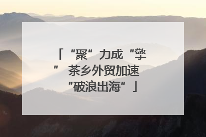 “聚”力成“擎” 茶乡外贸加速“破浪出海”