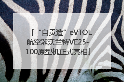 “自贡造”eVTOL航空器沃兰特VE25-100原型机正式亮相