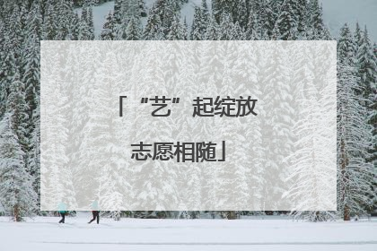 “艺”起绽放 志愿相随