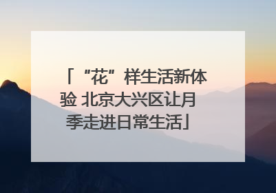 “花”样生活新体验 北京大兴区让月季走进日常生活